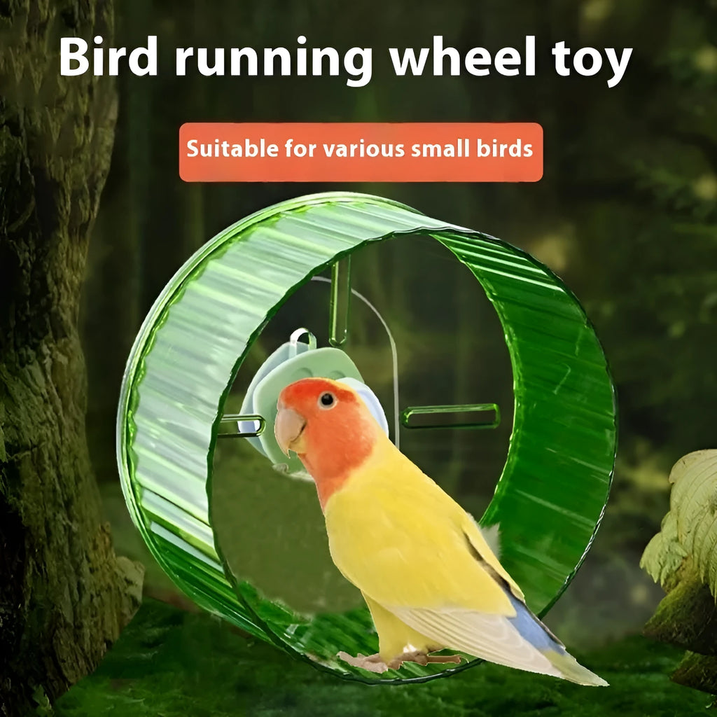 Plastic parrot exercise running wheel toy for bird cages in various colours and sizes