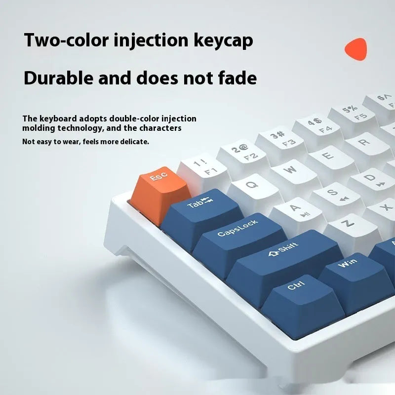 Blue and white 61-key mechanical keyboard with compact layout and hot-swappable switches