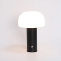 USB dual-power table lamp in black, green, orange or white colours with plastic construction