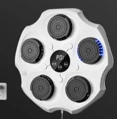 Bluetooth music boxing wall target with hanging design and included boxing gloves for home fitness training