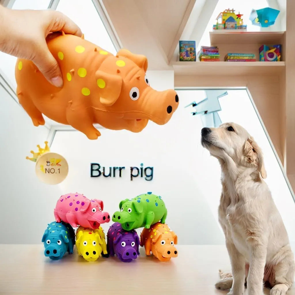 Latex pig-shaped dog chew toy in multiple colours with textured surface for teeth cleaning