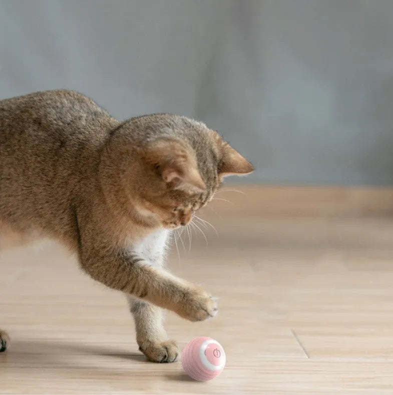 Automatic moving bouncing rolling ball smart cat toy in blue and pink colour options