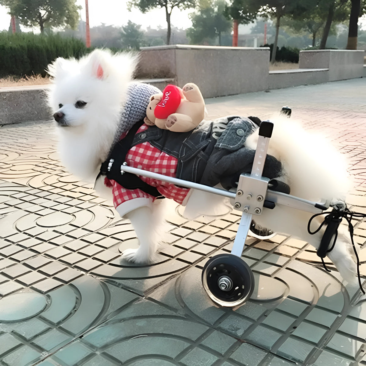 Black fully adjustable dog wheelchair for small to medium dogs, sizes XXS to S.