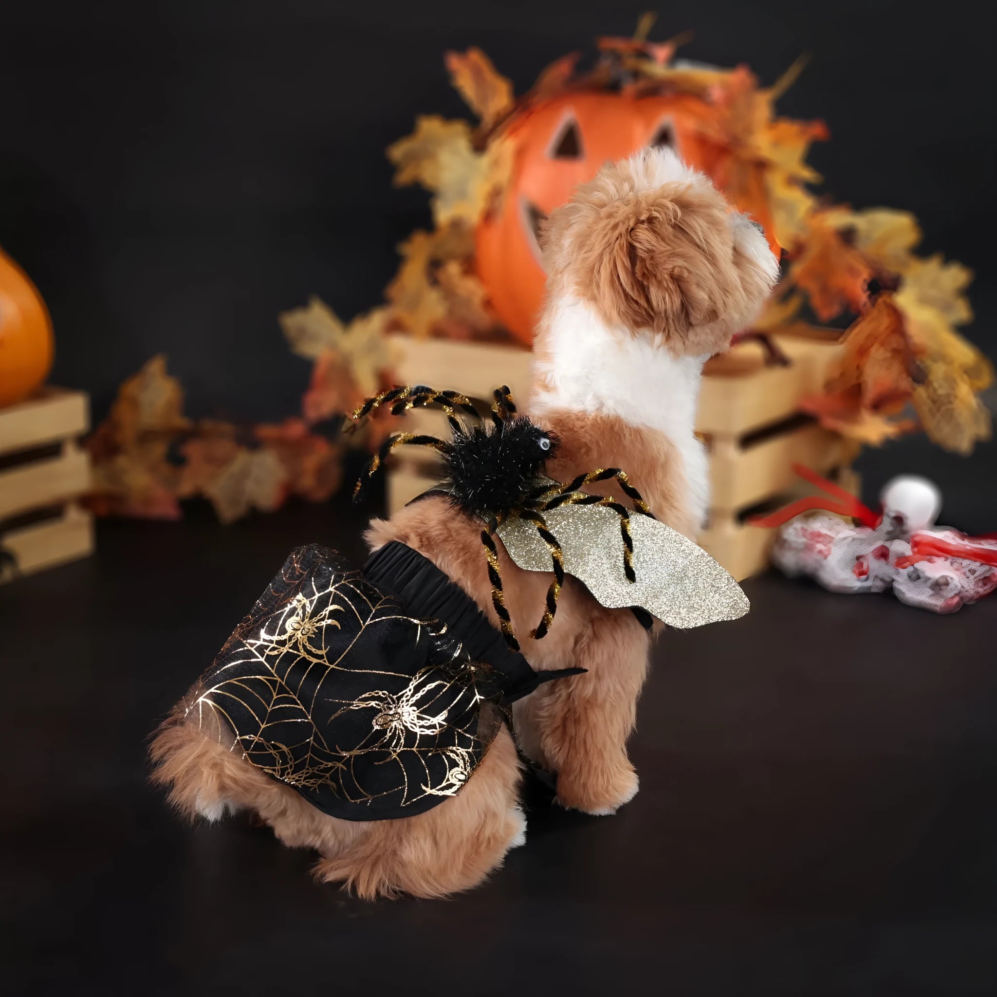 Polyester Halloween dog costume suit in multiple sizes for seasonal pet parties.