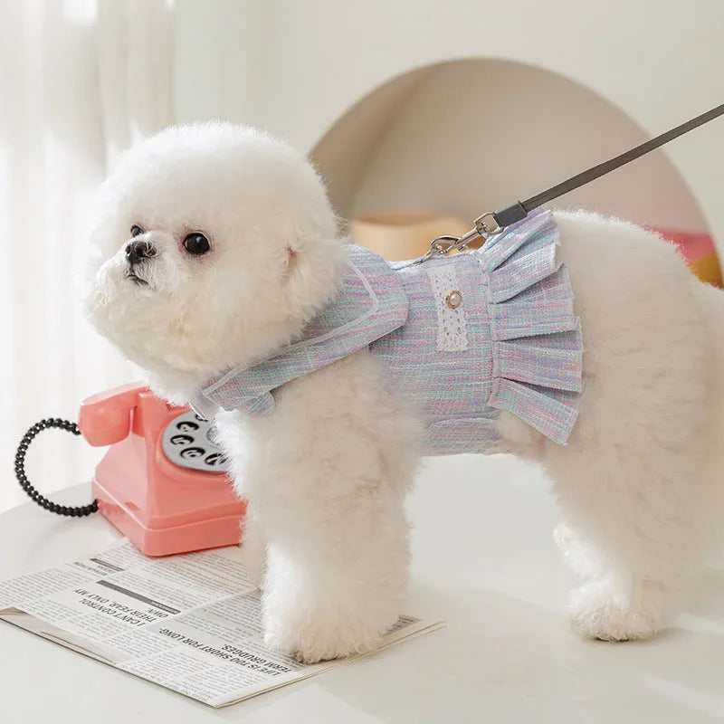 Purple or pink polyester pet clothing for a small dog or cat, showing size options S, M, L, XL.