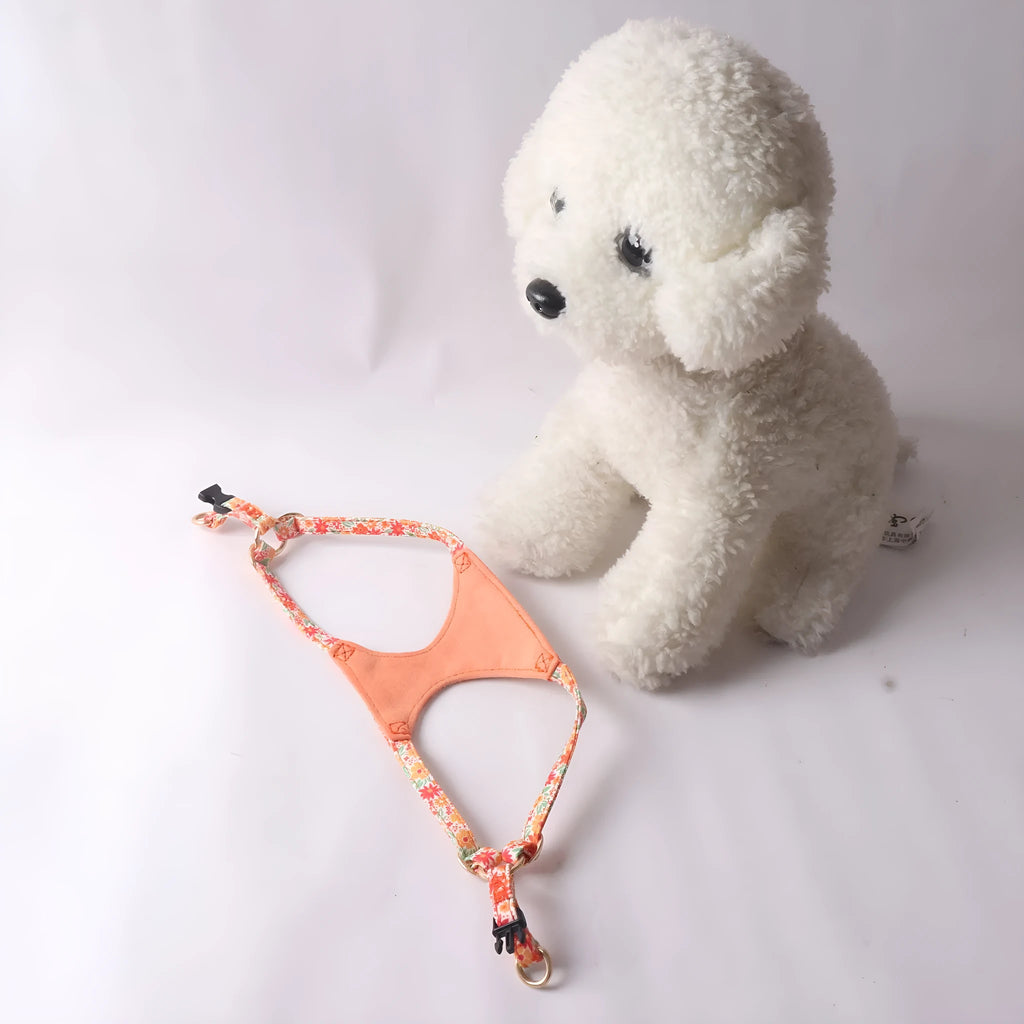 Floral pattern cloth pet harness with leash in orange colour showing single chest back design