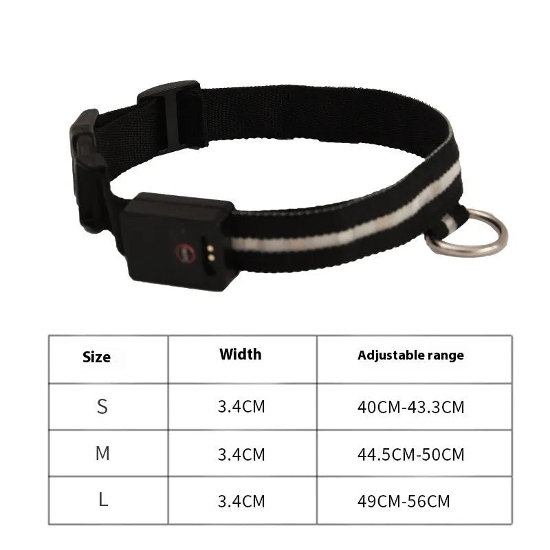 Black LED luminous dog collar with matching 120cm hand rope, polyester, available in S, M and L