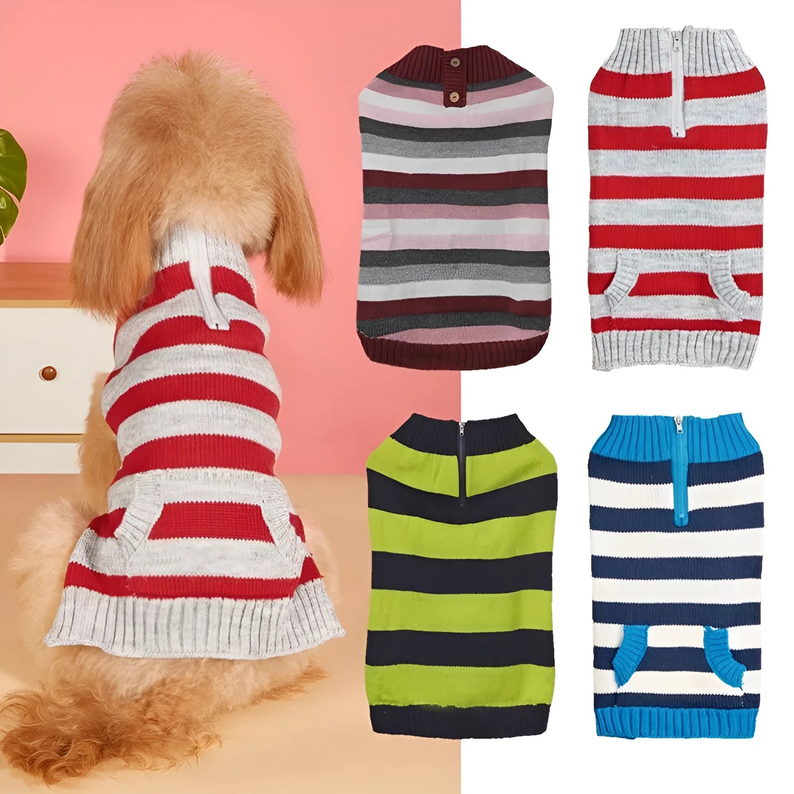 Grey dog sweater with a horizontal zipper and button pocket on a small dog.
