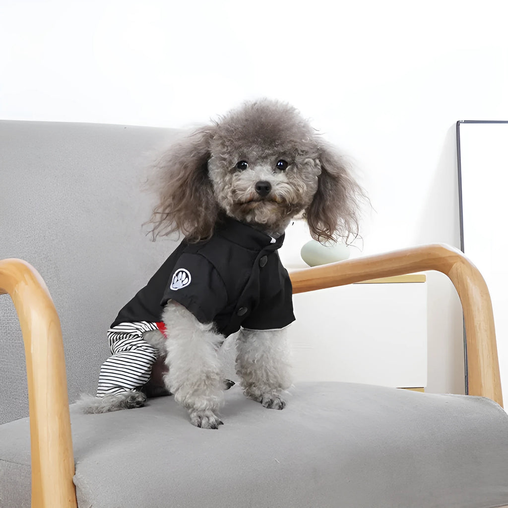 Cotton poodle dog clothes in four-foot pants and skirt styles for small dogs