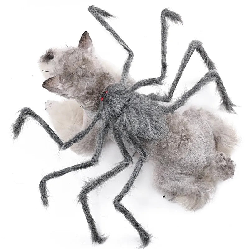 Halloween big spider costume for pet dog or cat in polyester material