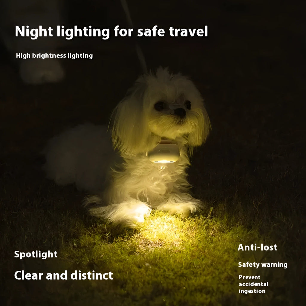 Pet luminous collar light attached to dog collar with four colour pattern options displayed