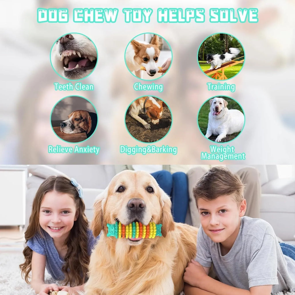 Blue natural rubber caterpillar-shaped dog chew toy for aggressive chewers