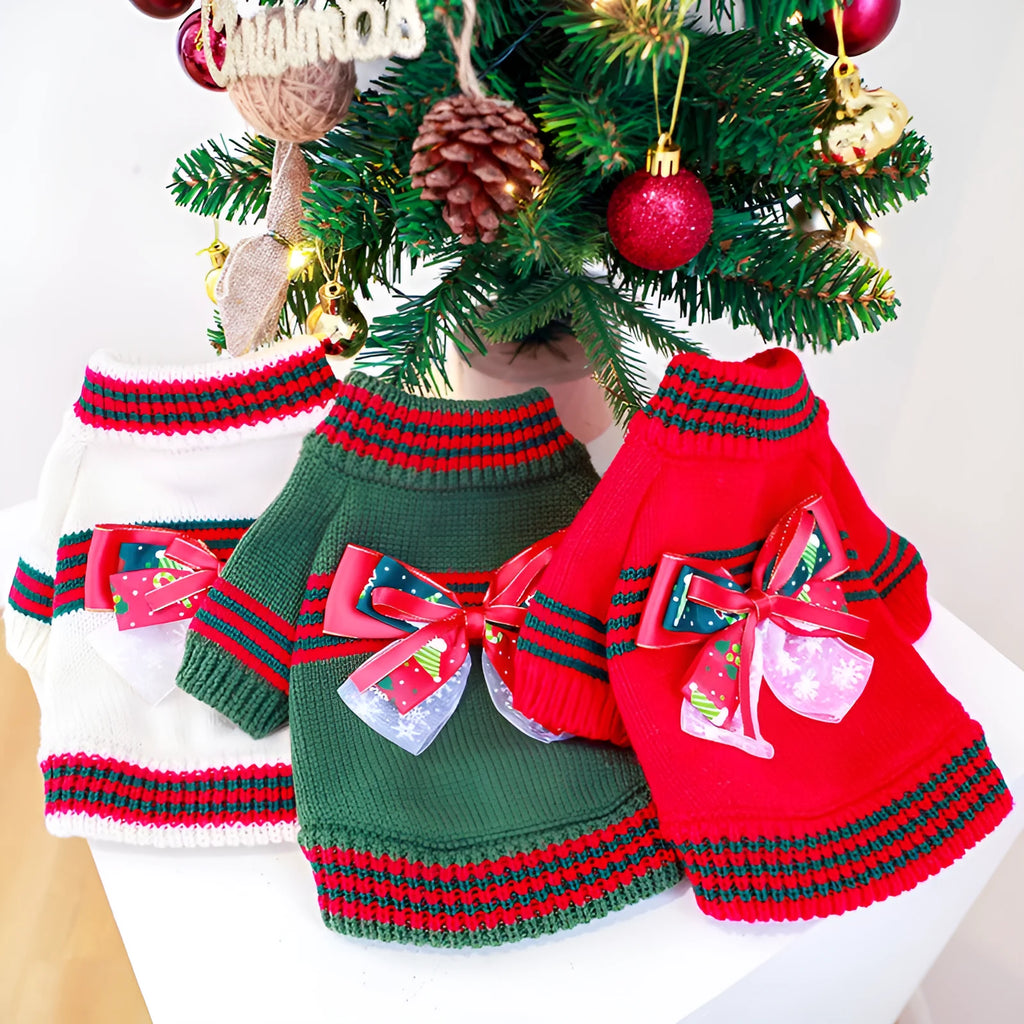 Red and green dog Christmas sweater festive pet clothing on a small dog
