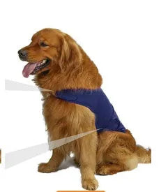 Dog wearing separation anxiety tank top in brocade cotton Ponte-de-Roma fabric