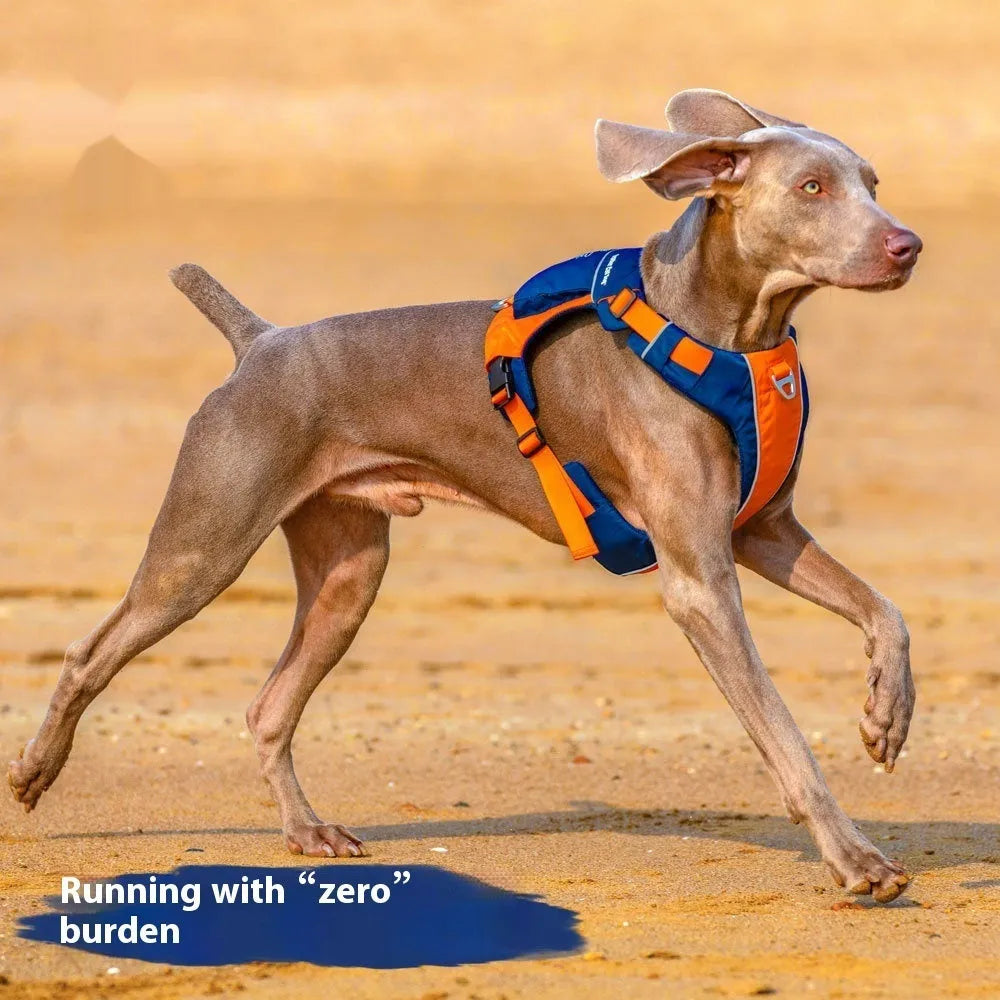 Orange blue nylon dog chest strap vest harness shown from the side on a dog.