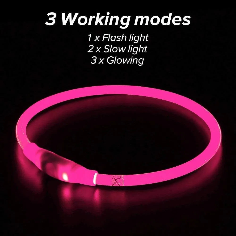 Blue USB rechargeable LED dog collar with glowing light on adjustable TPU strap