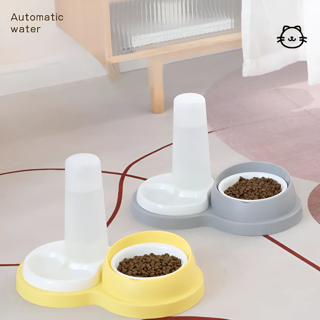 Grey pet double feeding bowl with raised design and non-slip base showing food and water compartments