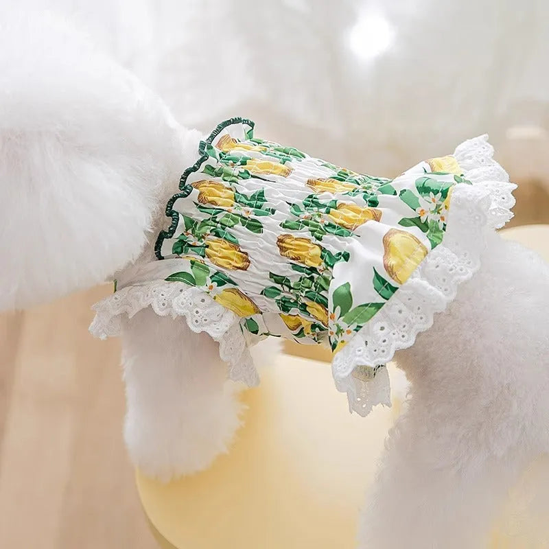 Rock yellow lemon dog dress with thin breathable straps and skirted princess style