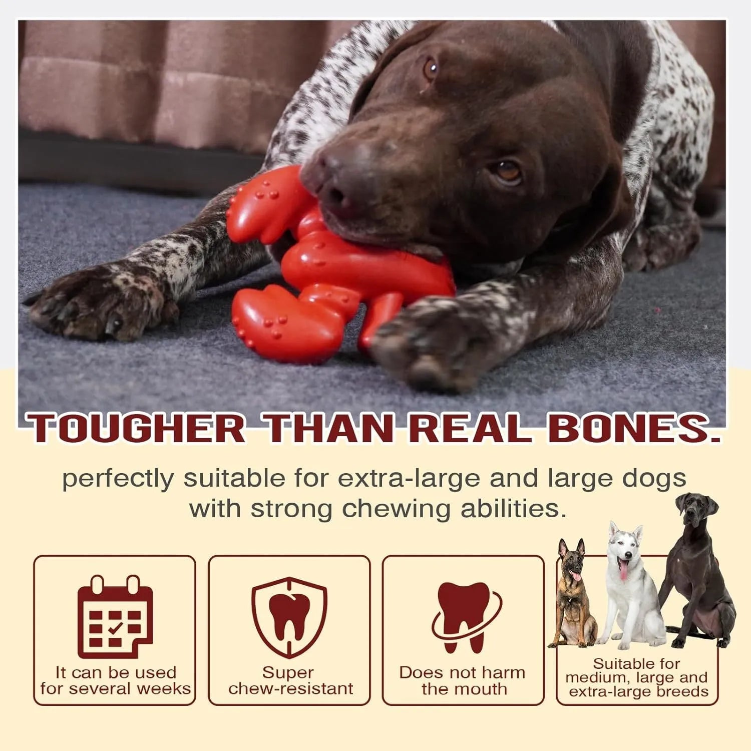 Red nylon chew bone dog toy for large breed aggressive chewers