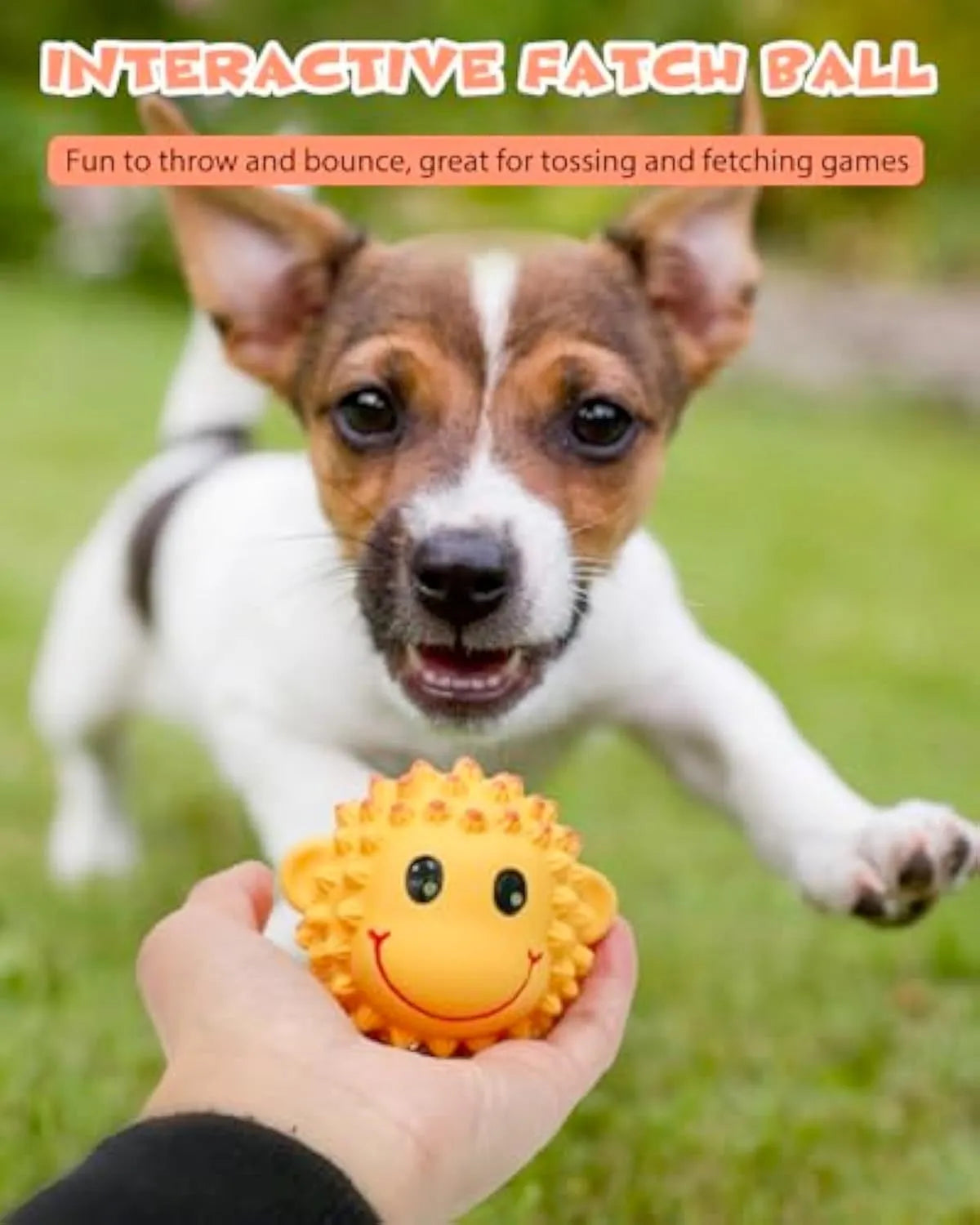 Orange and yellow spiky latex animal dog toys with squeakers for small medium breeds.