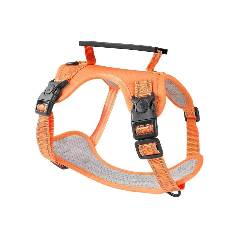 Adjustable polyester dog chest harness and lead in various colours on a white background