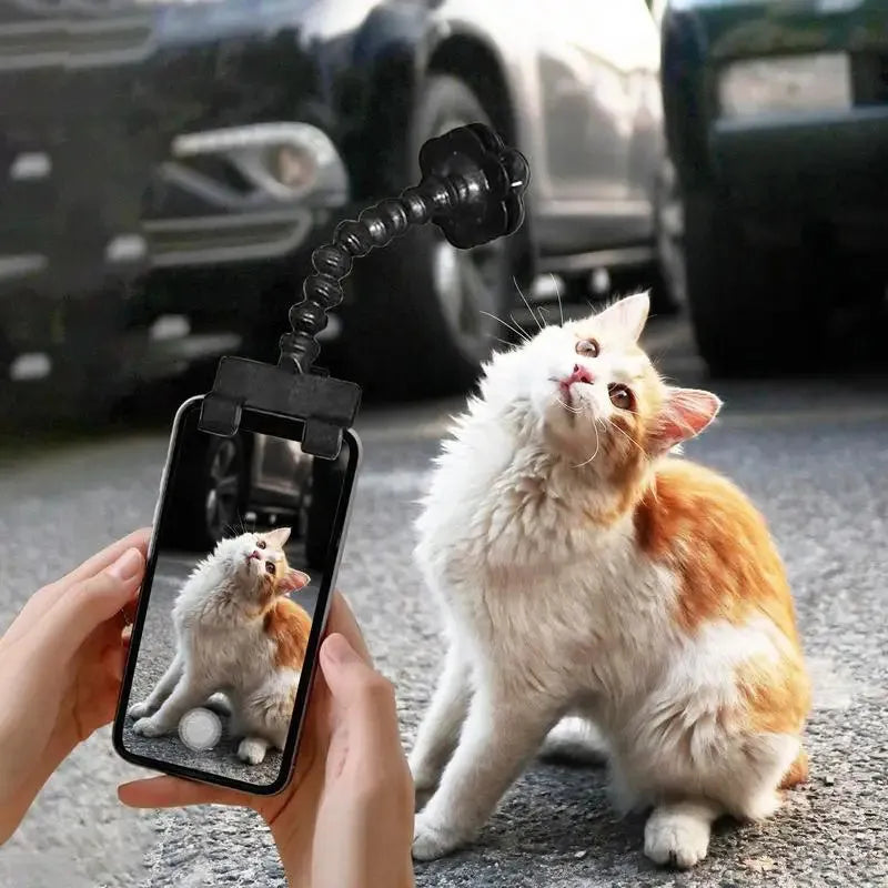 Black pet photography mobile phone holder with snack clip for attracting cat and dog attention during photos