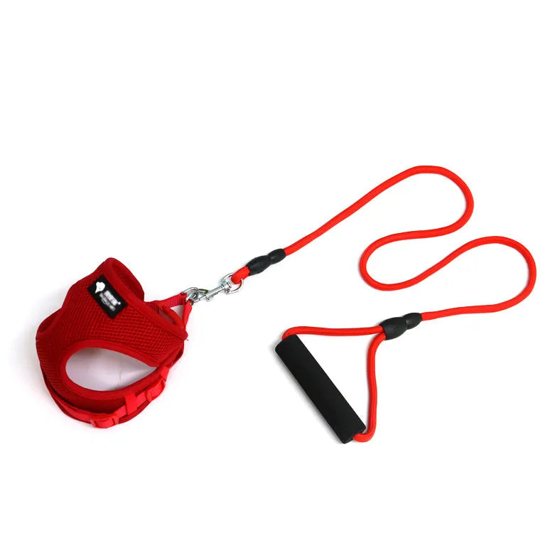 Blue dog leash with foam handle and matching collar on a white background.