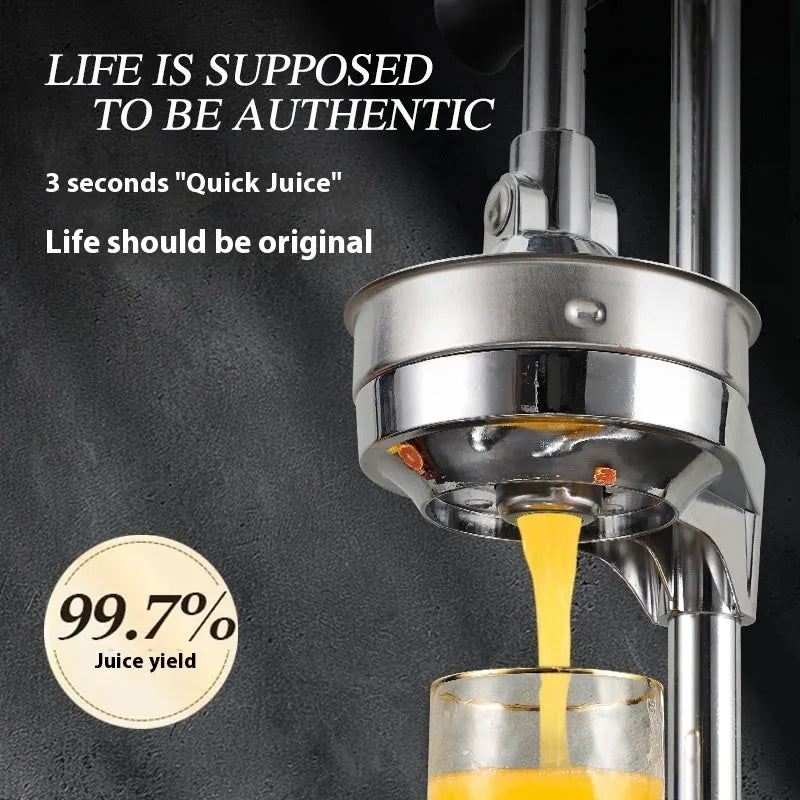 Stainless steel manual vertical citrus juicer with zinc alloy construction