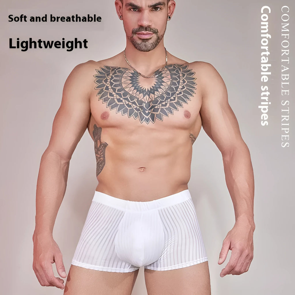 Men's striped transparent underwear in black, white and dark grey colours showing thin nylon fabric