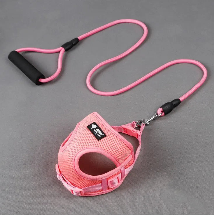 Blue dog leash with foam handle and matching collar on a white background.