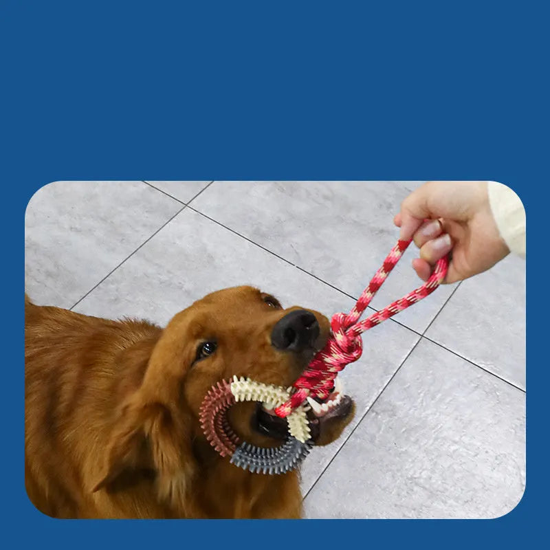 Bite resistant colourful braided rope dog toy with knots, measuring 43cm in length