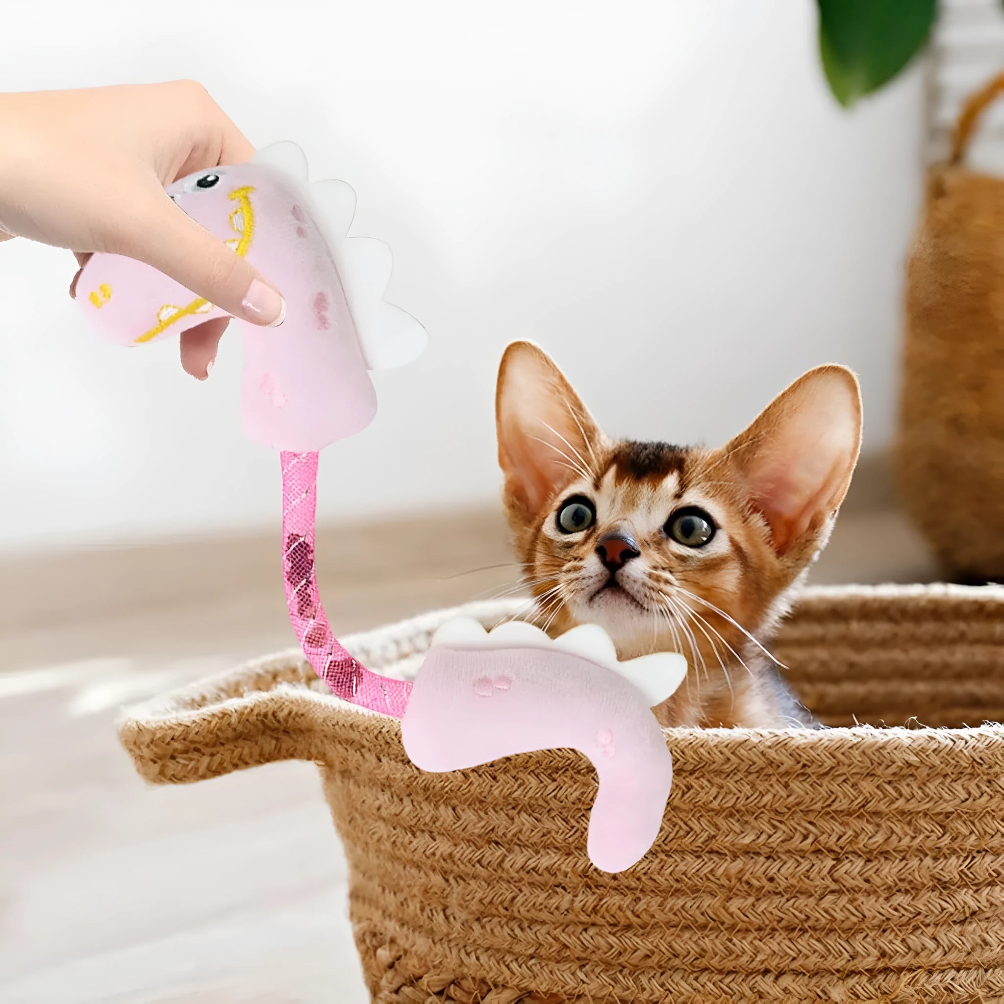 Assortment of cat toys including chew toys, rope toys, springs, and kicker toys in pink, purple and yellow