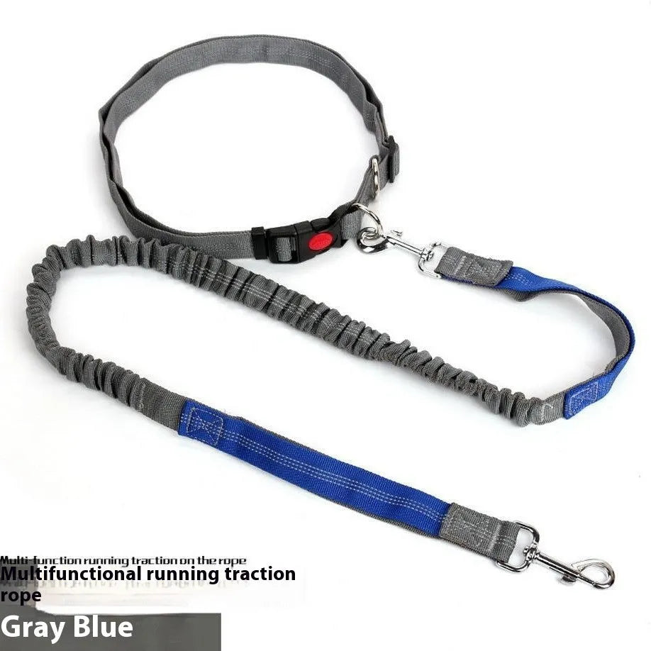 2.5cm wide outdoor running dog leash with night reflective sling in grey and green colour combination