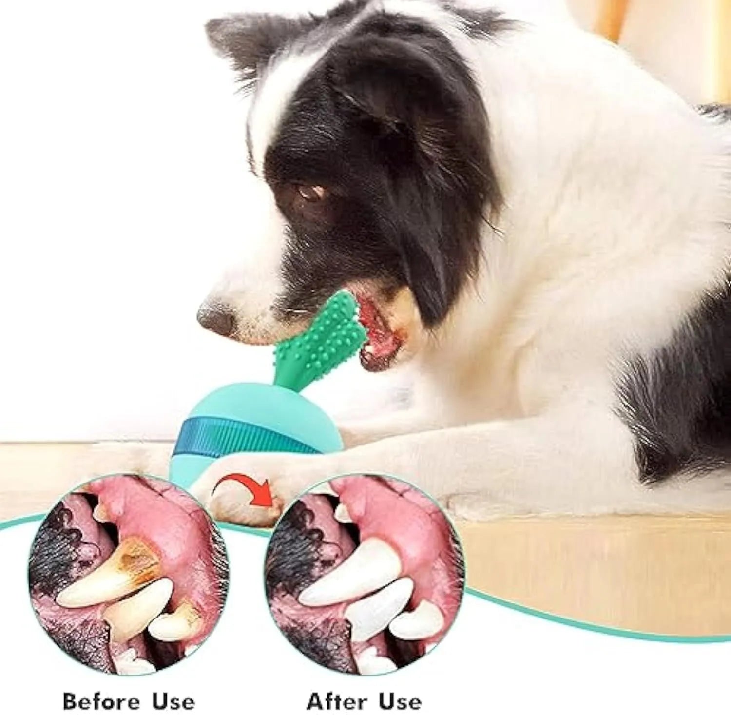 Blue and green durable rubber treat dispensing dog toy ball with small holes for medium large dogs