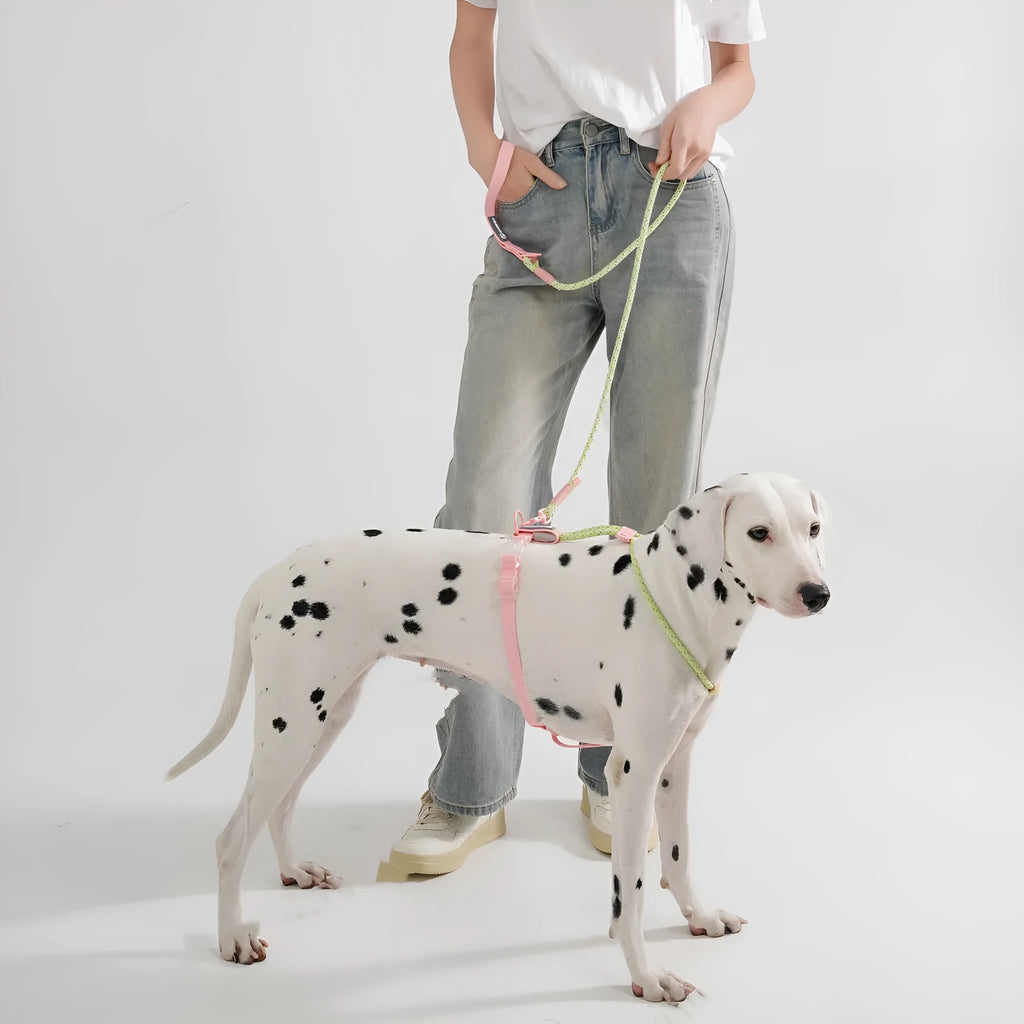 Solid colour PVC dog hand holding rope leash, 120cm long, in dark red purple yellow or taoyao green.