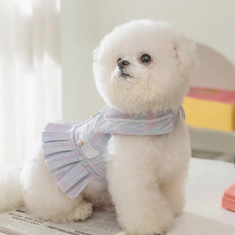 Purple or pink polyester pet clothing for a small dog or cat, showing size options S, M, L, XL.
