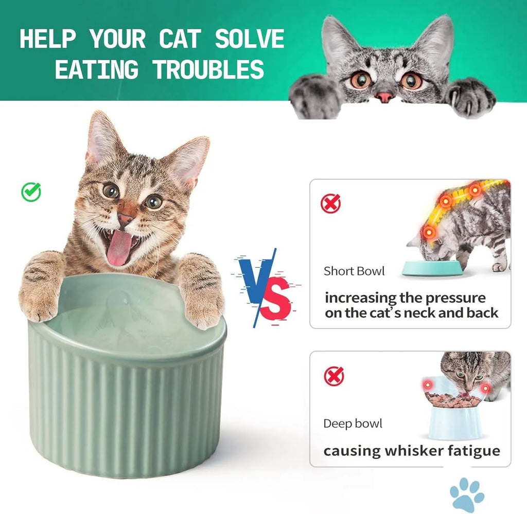 Elevated ceramic cat bowl in green colour showing raised, tilted design for food or water.