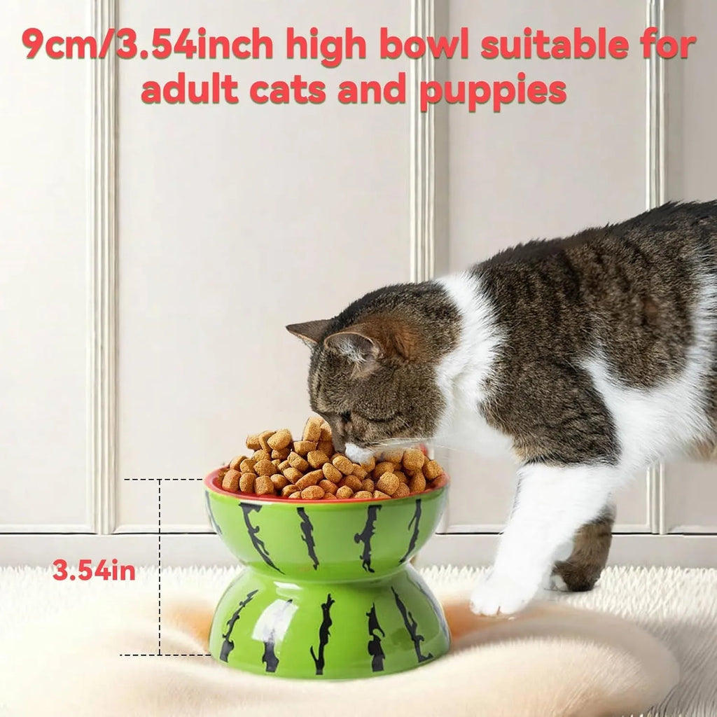 Ceramic elevated cat bowl in orange colour with tilted wide dish design.