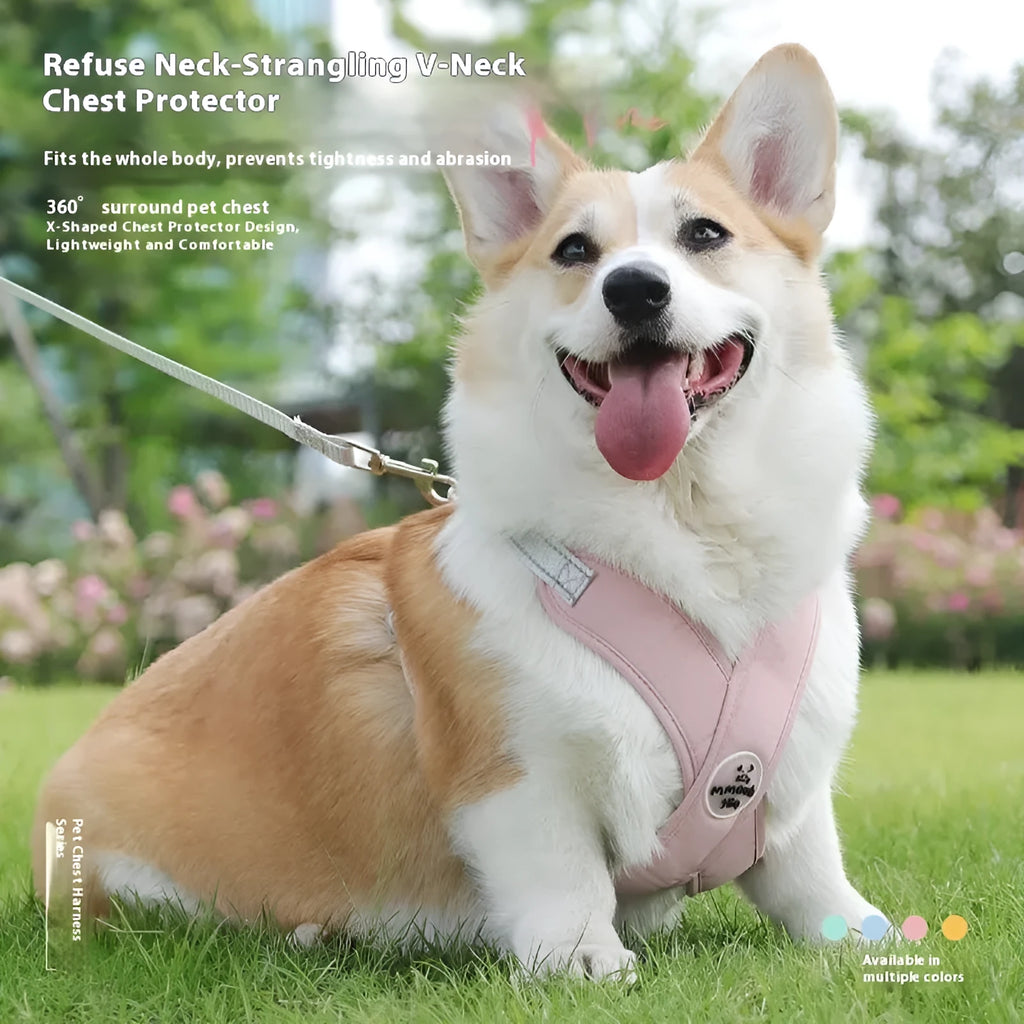 Polyester pet vest and hand-holding rope set available in four colours and sizes