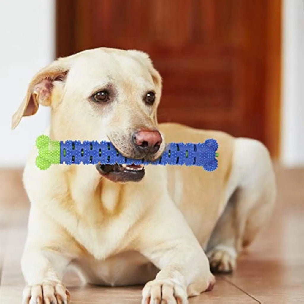 Blue and green dog dental cleaning stick with silicone nodules and serrated brush head design