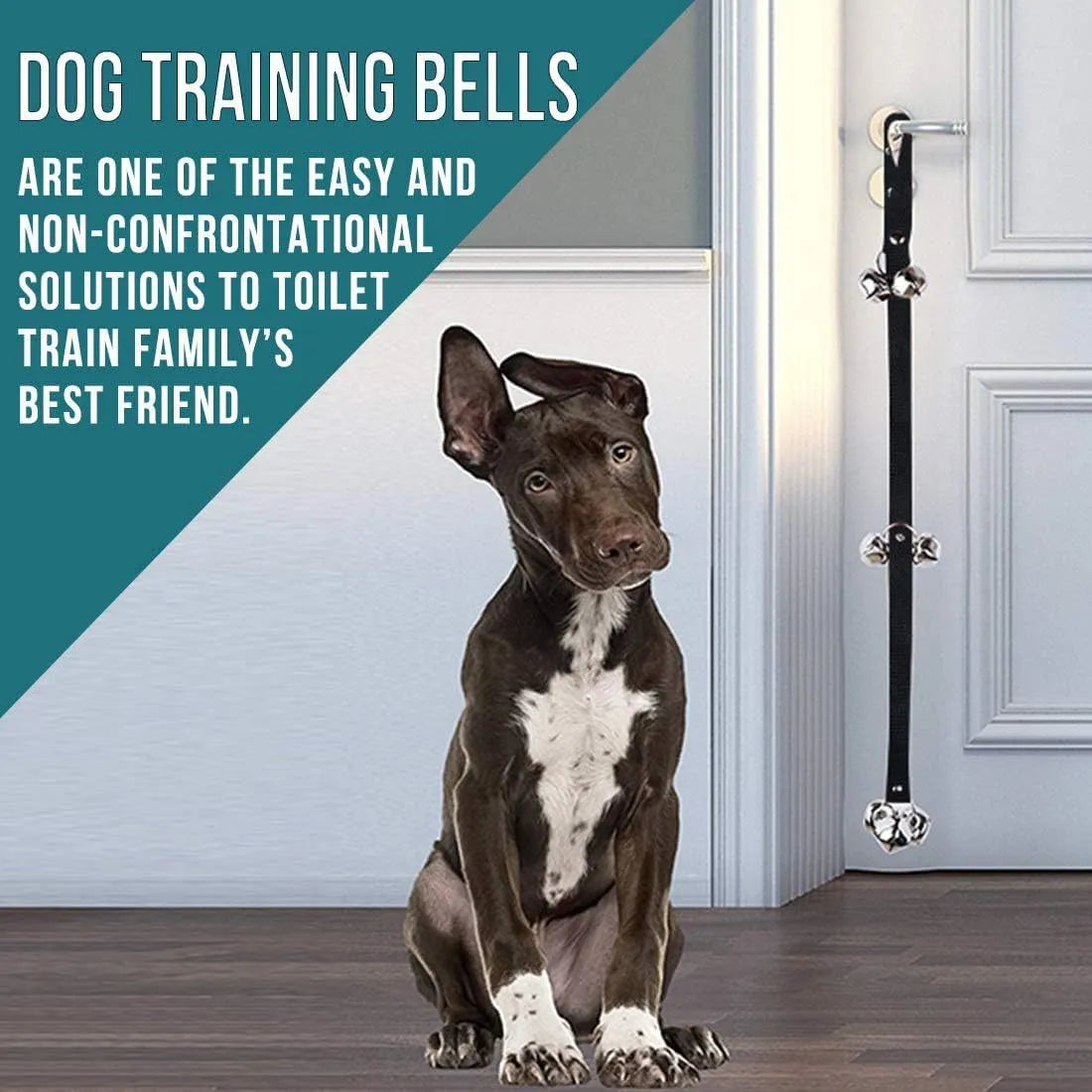 Dog training doorbell with seven silver metal bells on adjustable nylon strap for toilet training