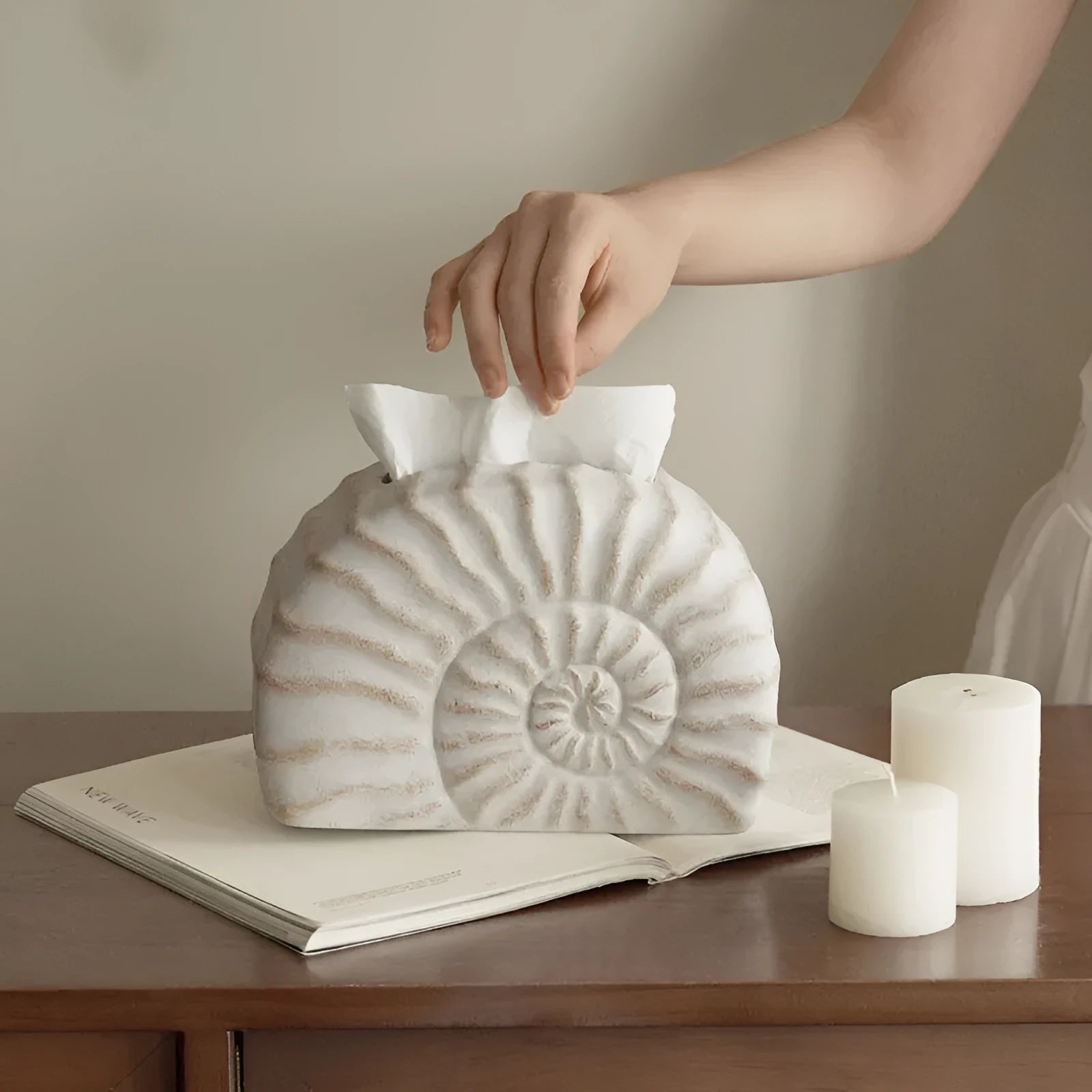 Conch ramble resin tissue box decoration in modern simplicity style