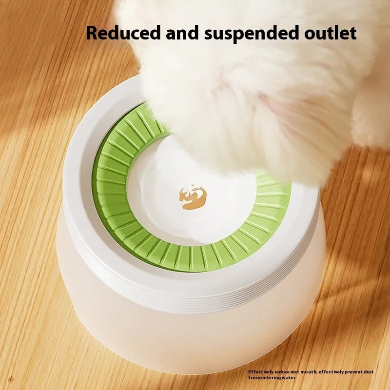 Green raised pet suspension bowl for dogs and cats on a white plate.