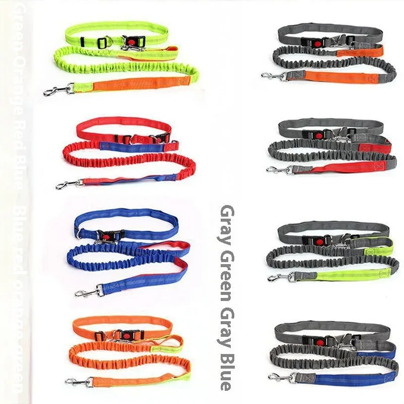 2.5cm wide outdoor running dog leash with night reflective sling in grey and green colour combination