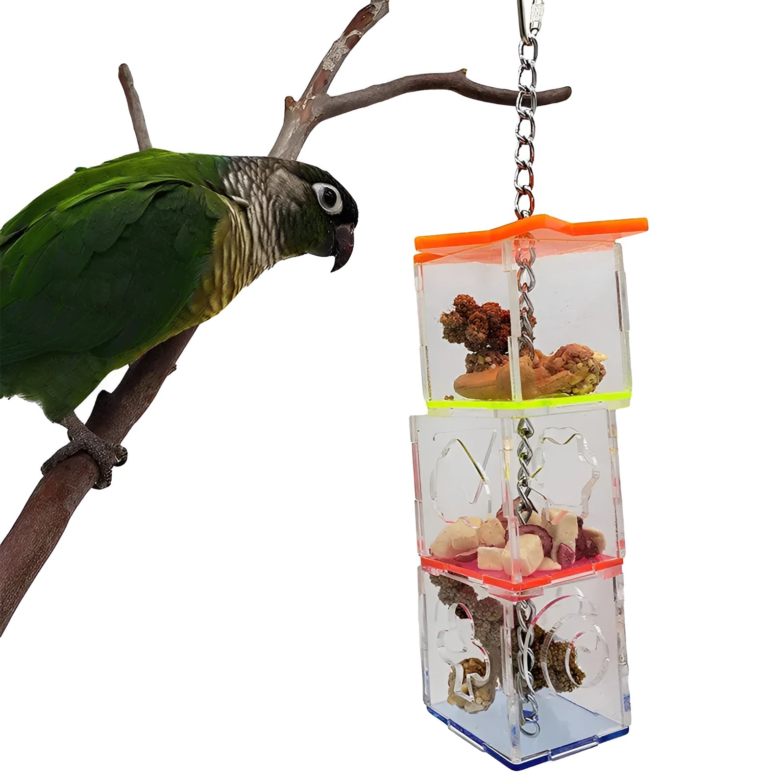 Clear acrylic bird foraging toy measuring 5x5x32cm for parrot enrichment with treats