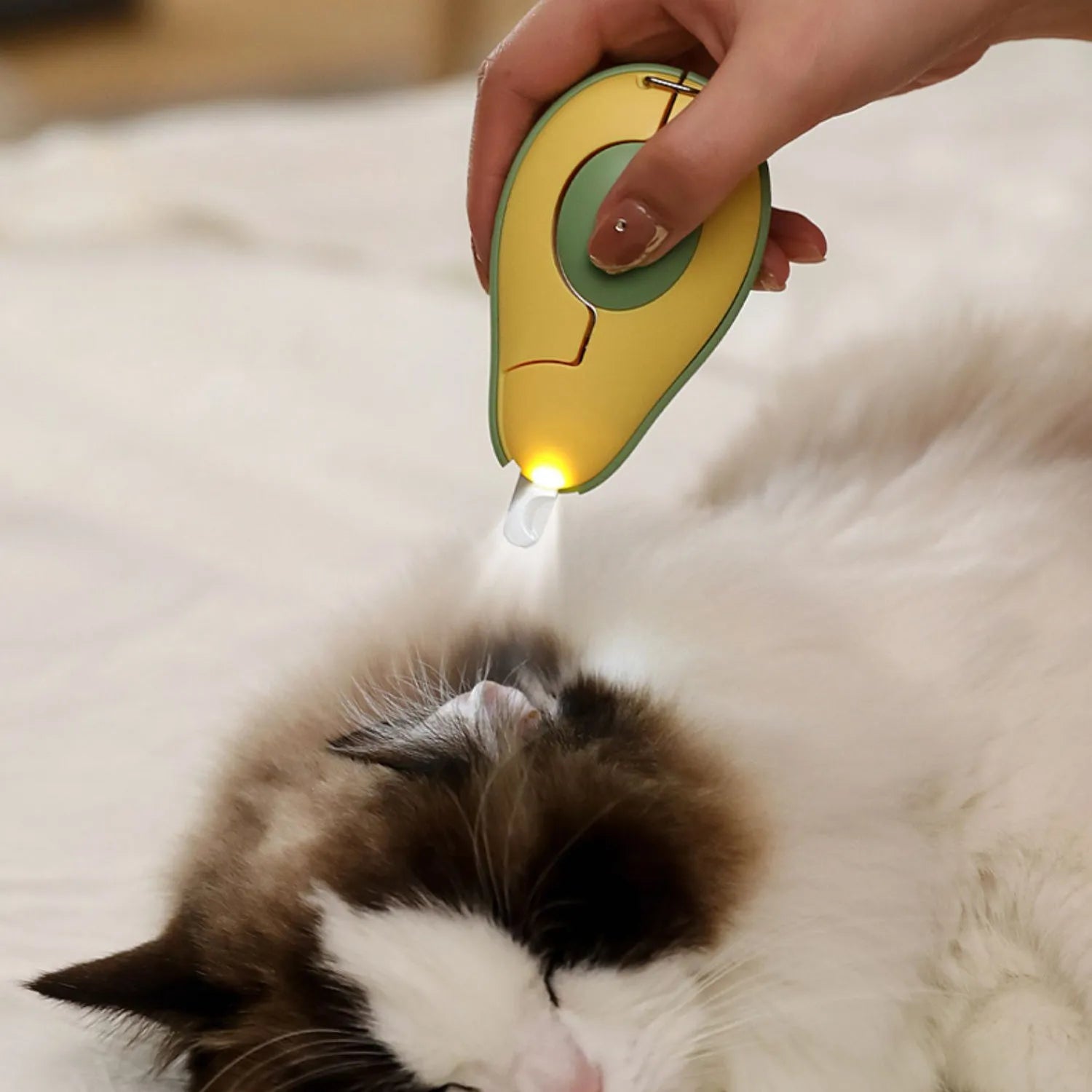 Professional LED pet nail clipper for small dogs and cats in green, pink, and white colour options