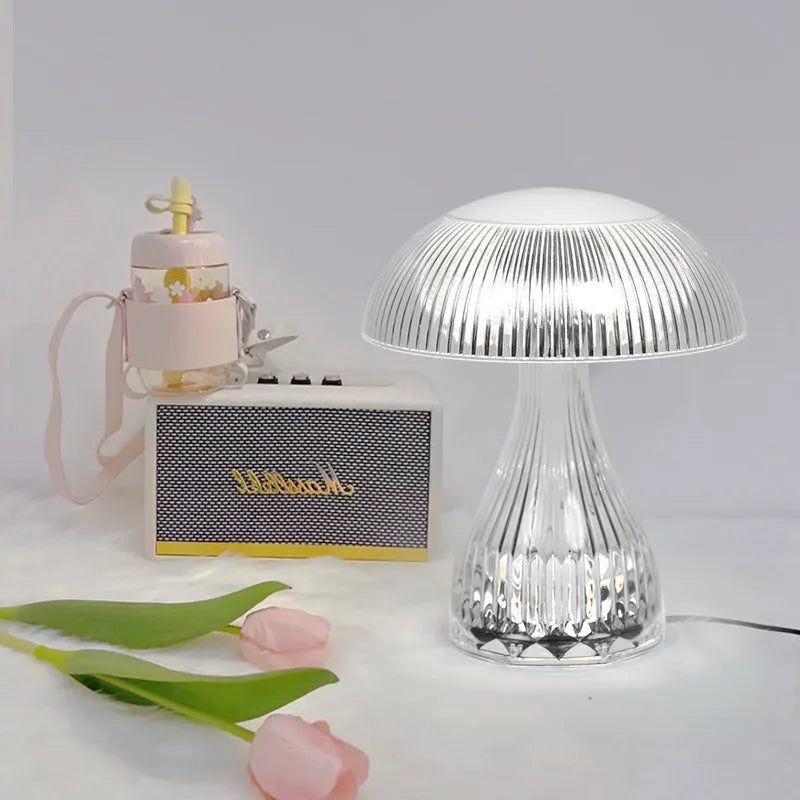 Clear acrylic USB rechargeable touch control night lamp with three colour changing modes