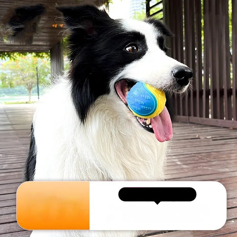TPR dog training ball with textured surface and sound feature in assorted colour combinations