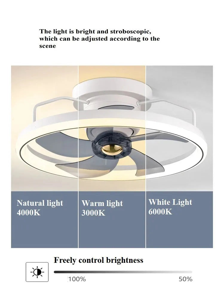 Modern ceiling fan with integrated light fixture showing 50cm diameter and acrylic lampshade