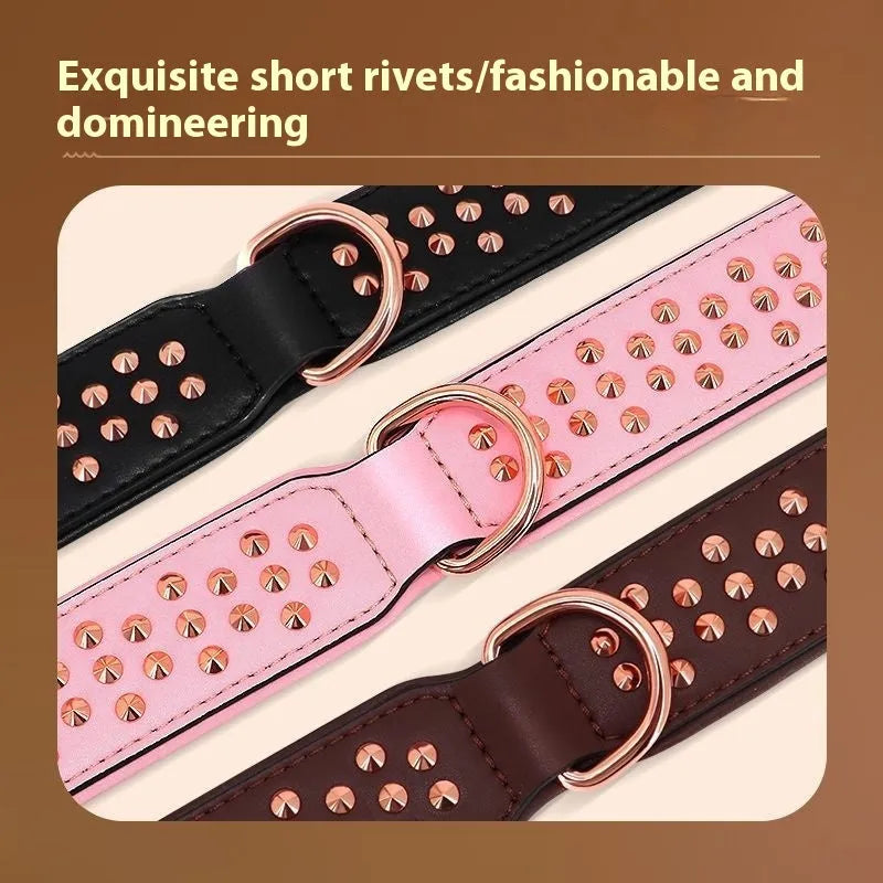 Black leather dog collar with metal anti-bite rivets shown on a size L tag.